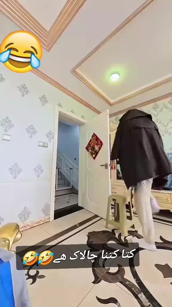 @Zubi🙋♀️زوبی