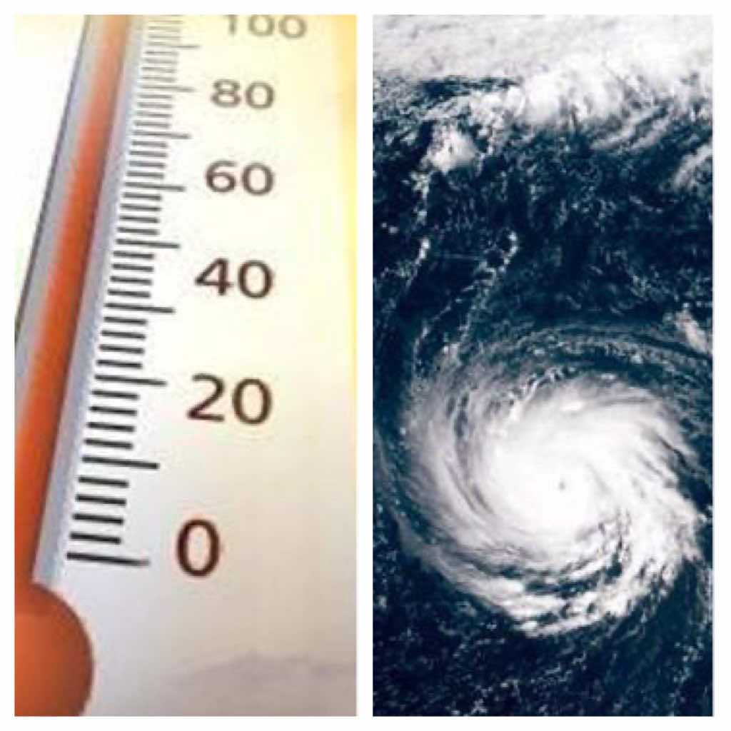 @WRAL_michaels