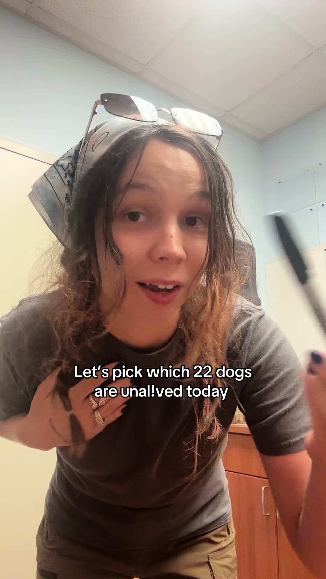 @Kayleigh + Dogs