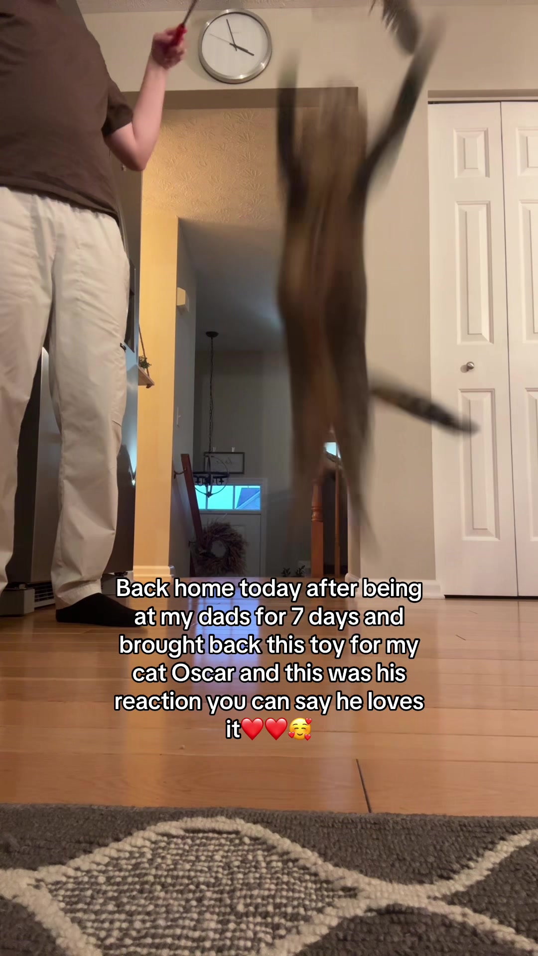 @IamNoahBrendan