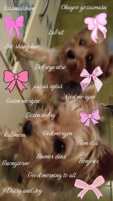 @#Daisy and Joy