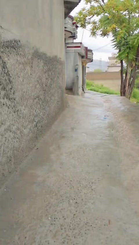 @Kaka__169