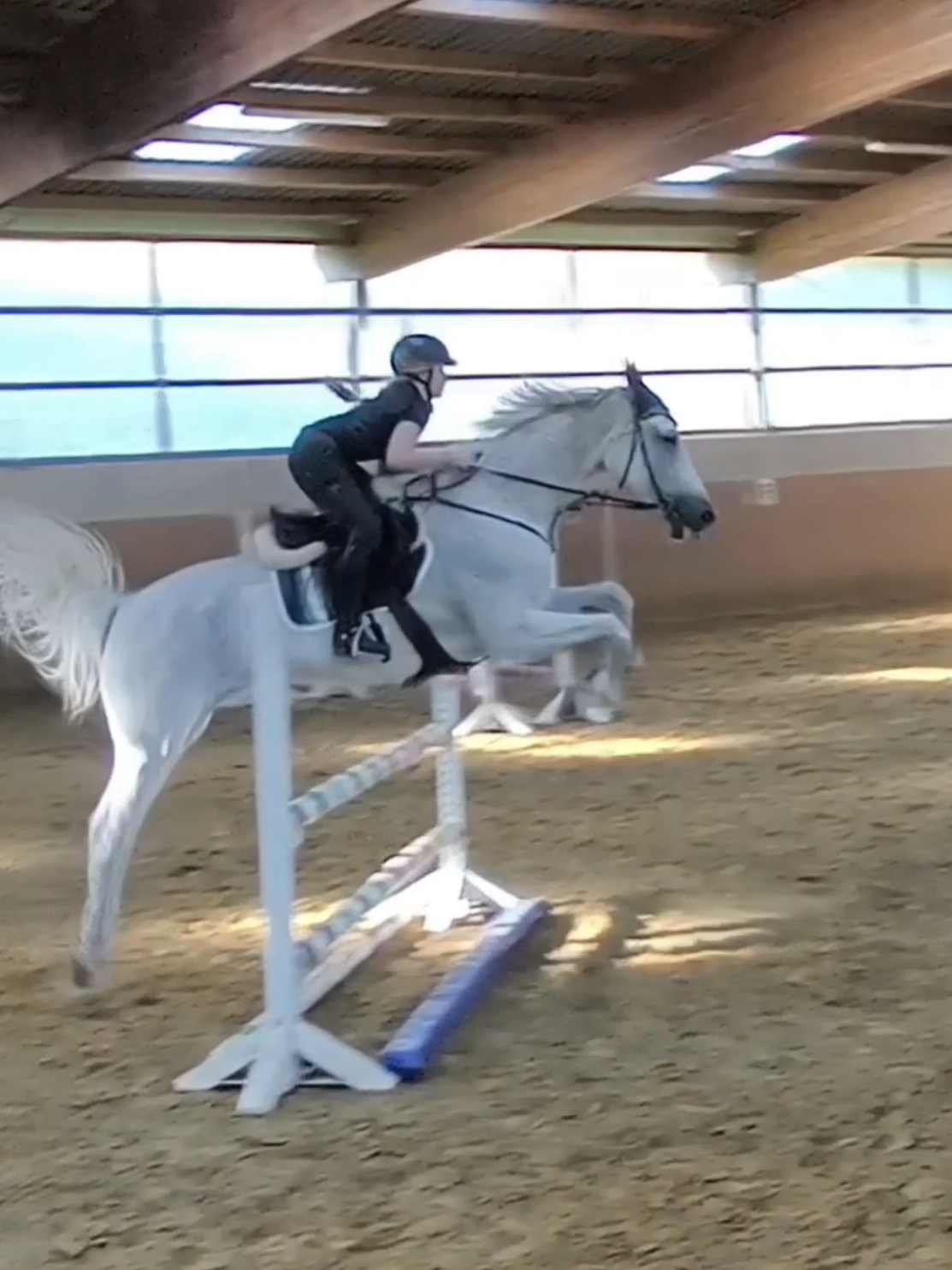 @Spring"Pony"Casha