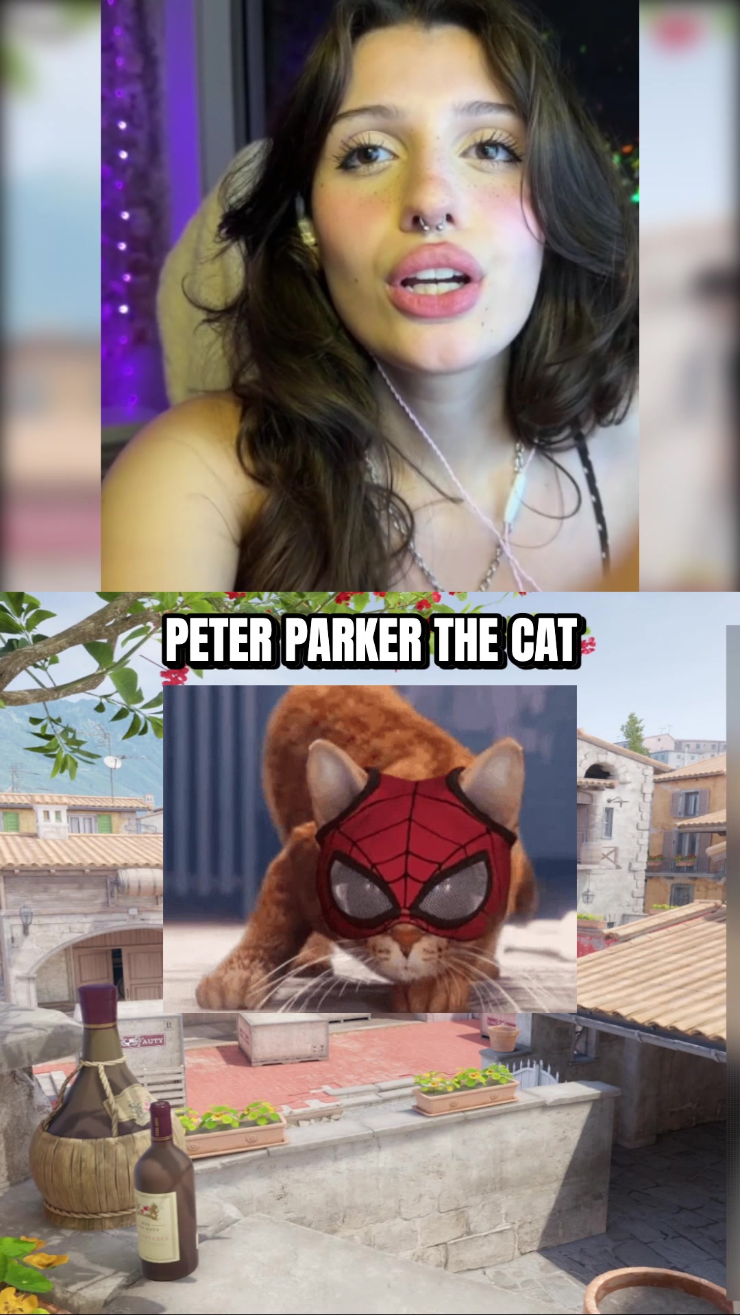 @cat ♡