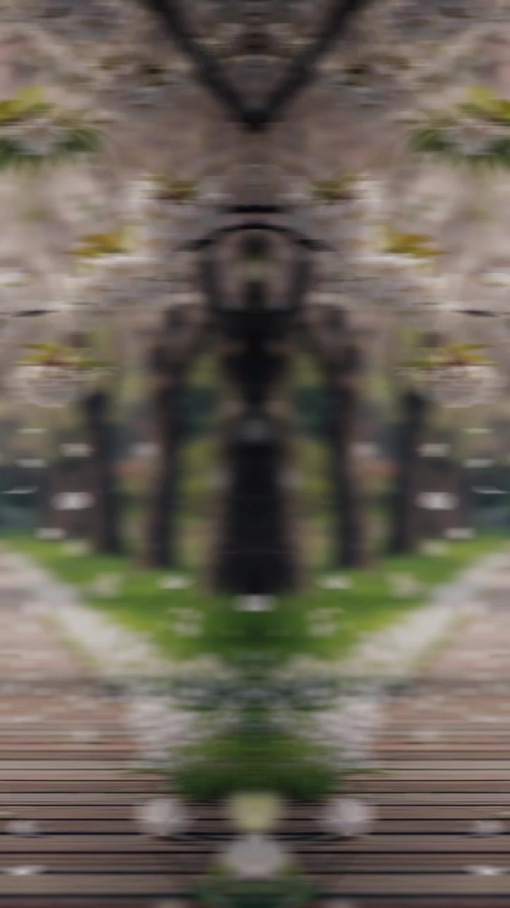 @☆꧁✬◦°˚°◦. 𝐀𝐦𝐦𝐮 .◦°˚°◦✬꧂☆