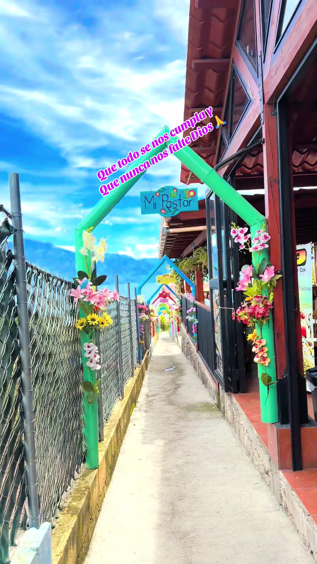@Armando-Itzep🇬🇹