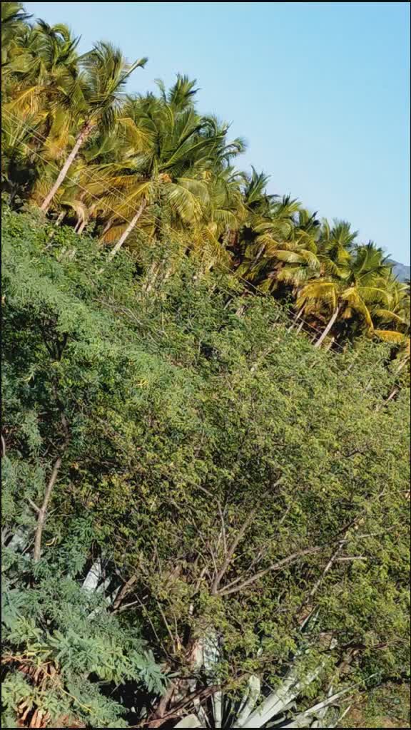 @மதுரை பூமி