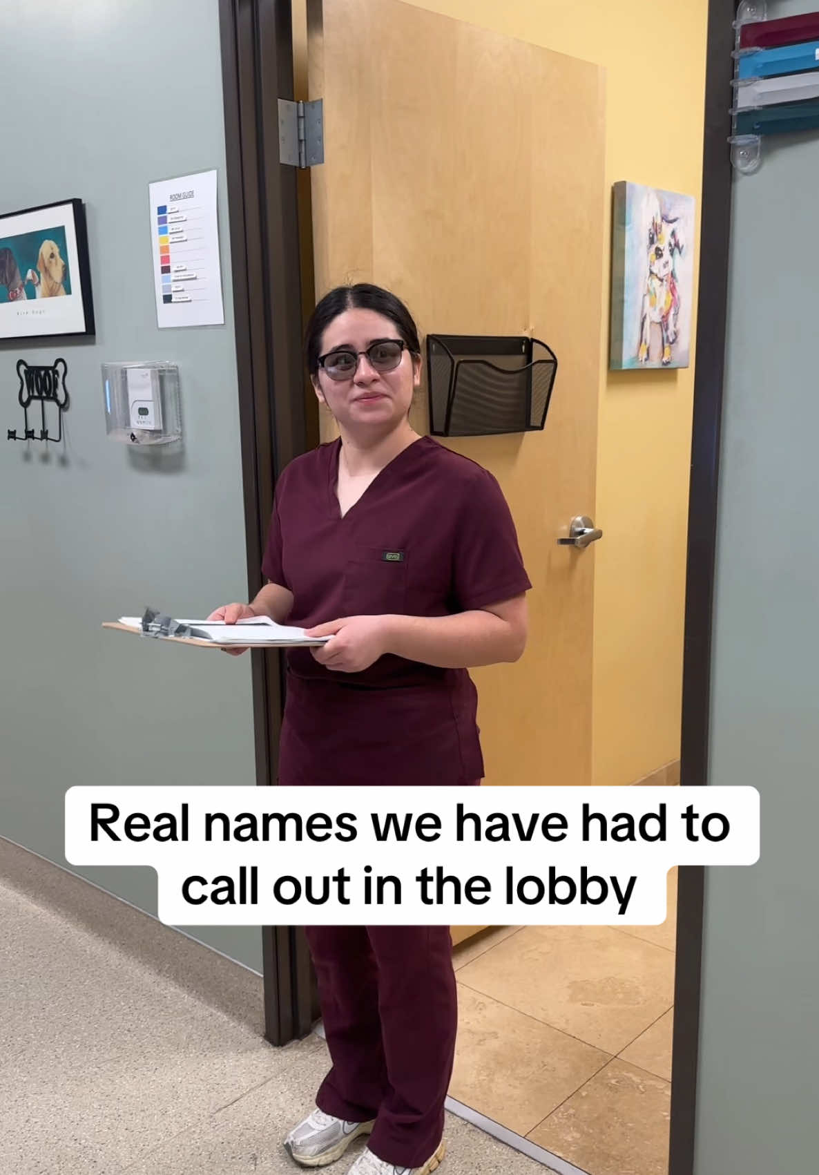 @Dreaming Summit Animal Hosp