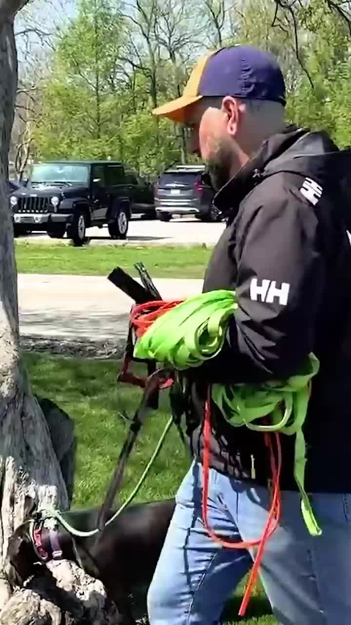 @Miracle K9 Training