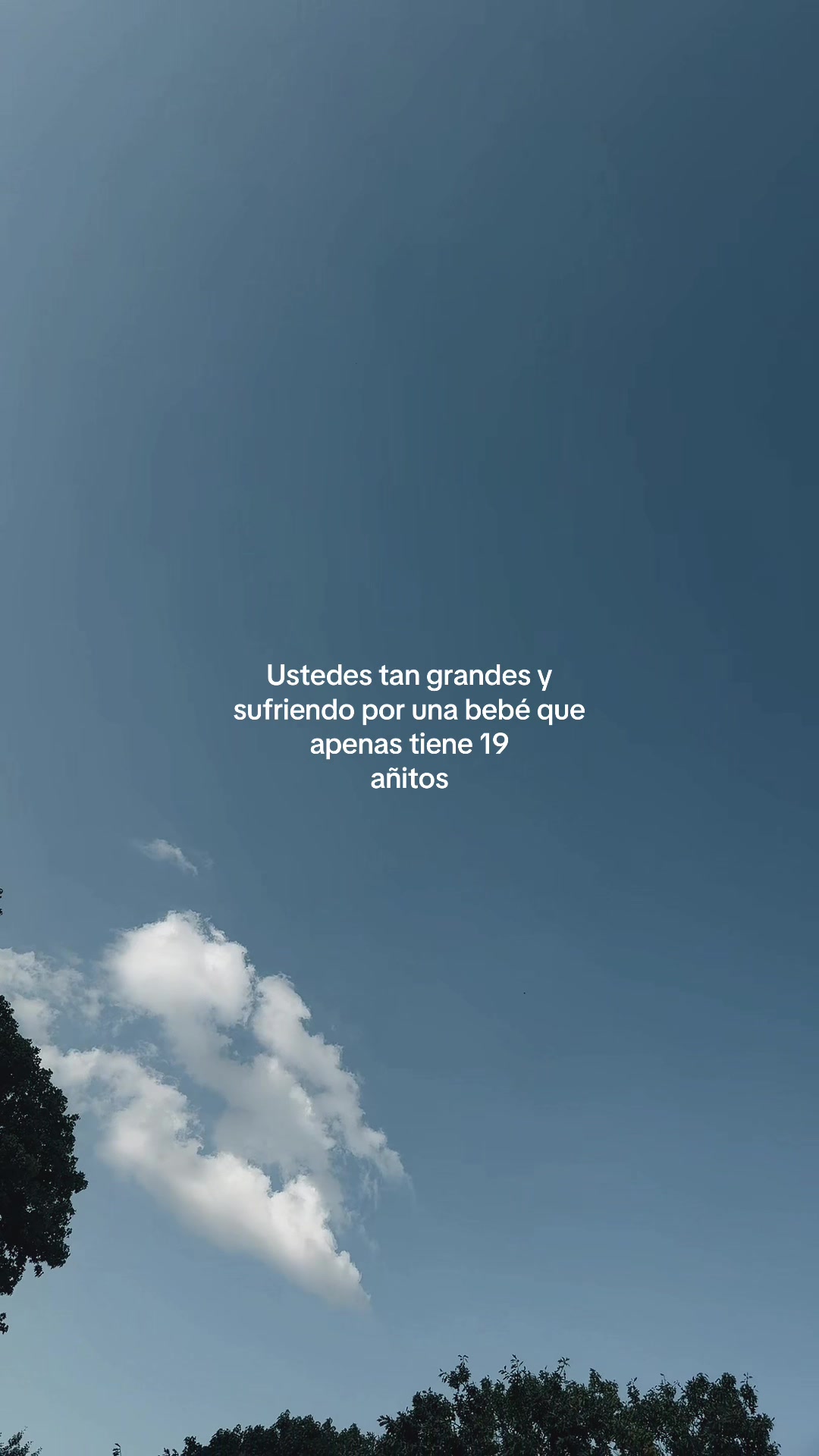 @&ldquo;Voces del Eco&rdquo;
