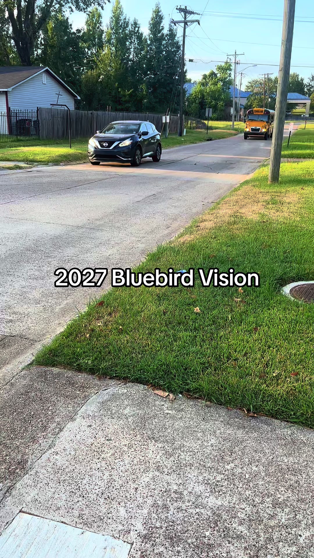 @Bluebirdbus302