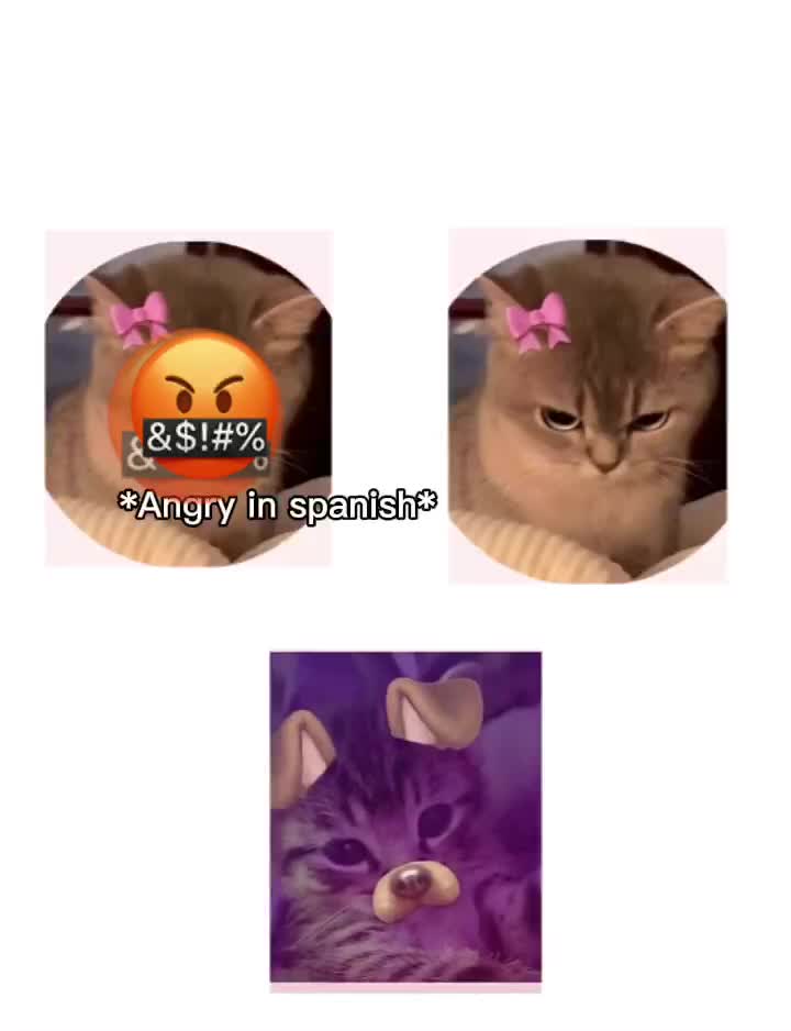 @Arianna