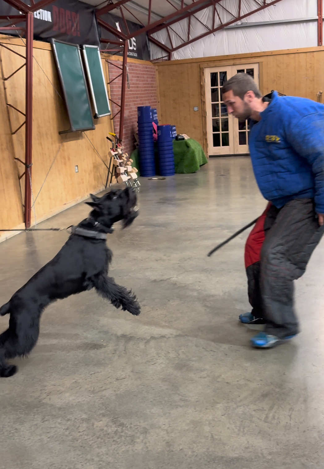 @Protection Dog Sales