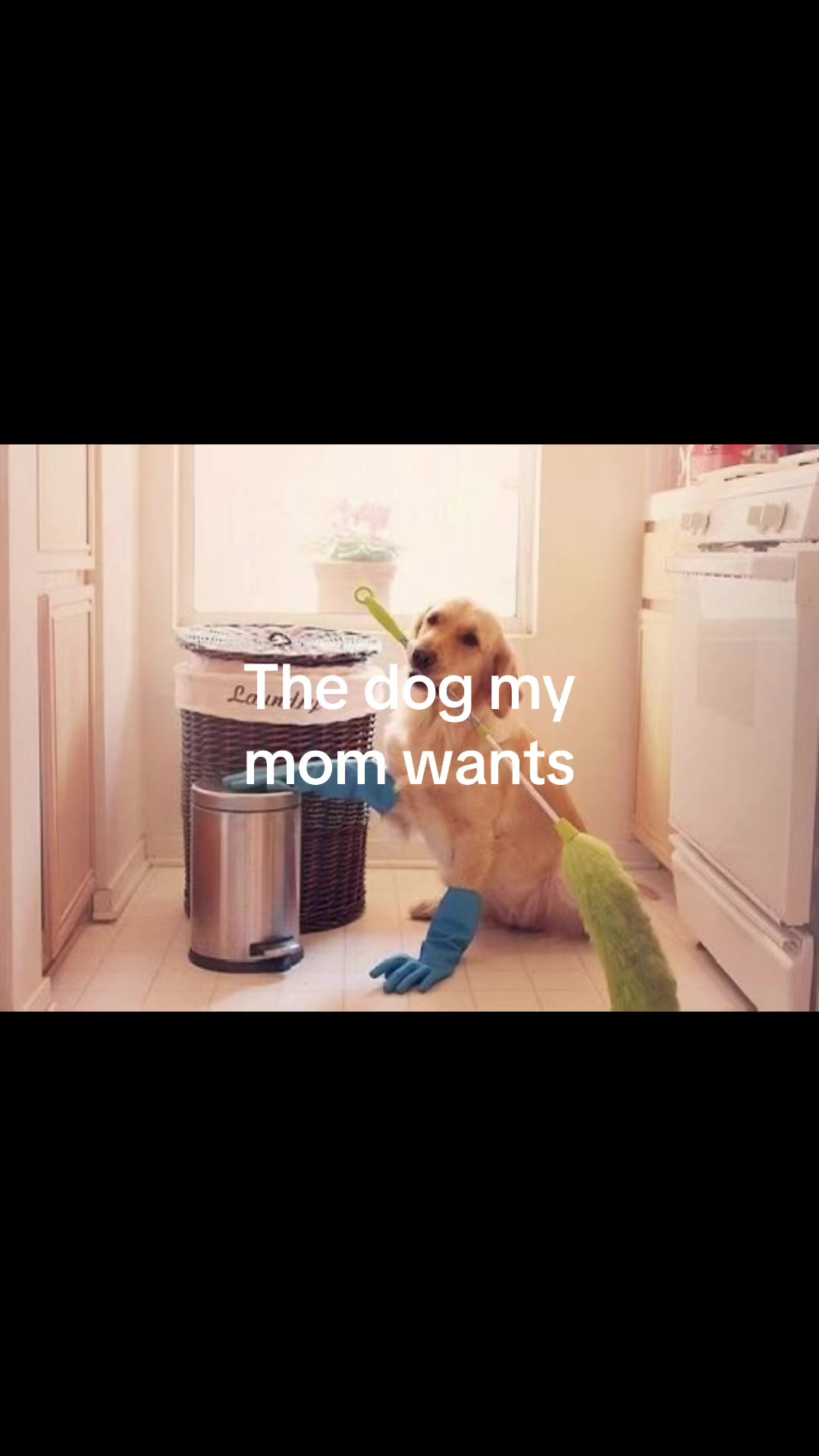 @midnightluxe_30