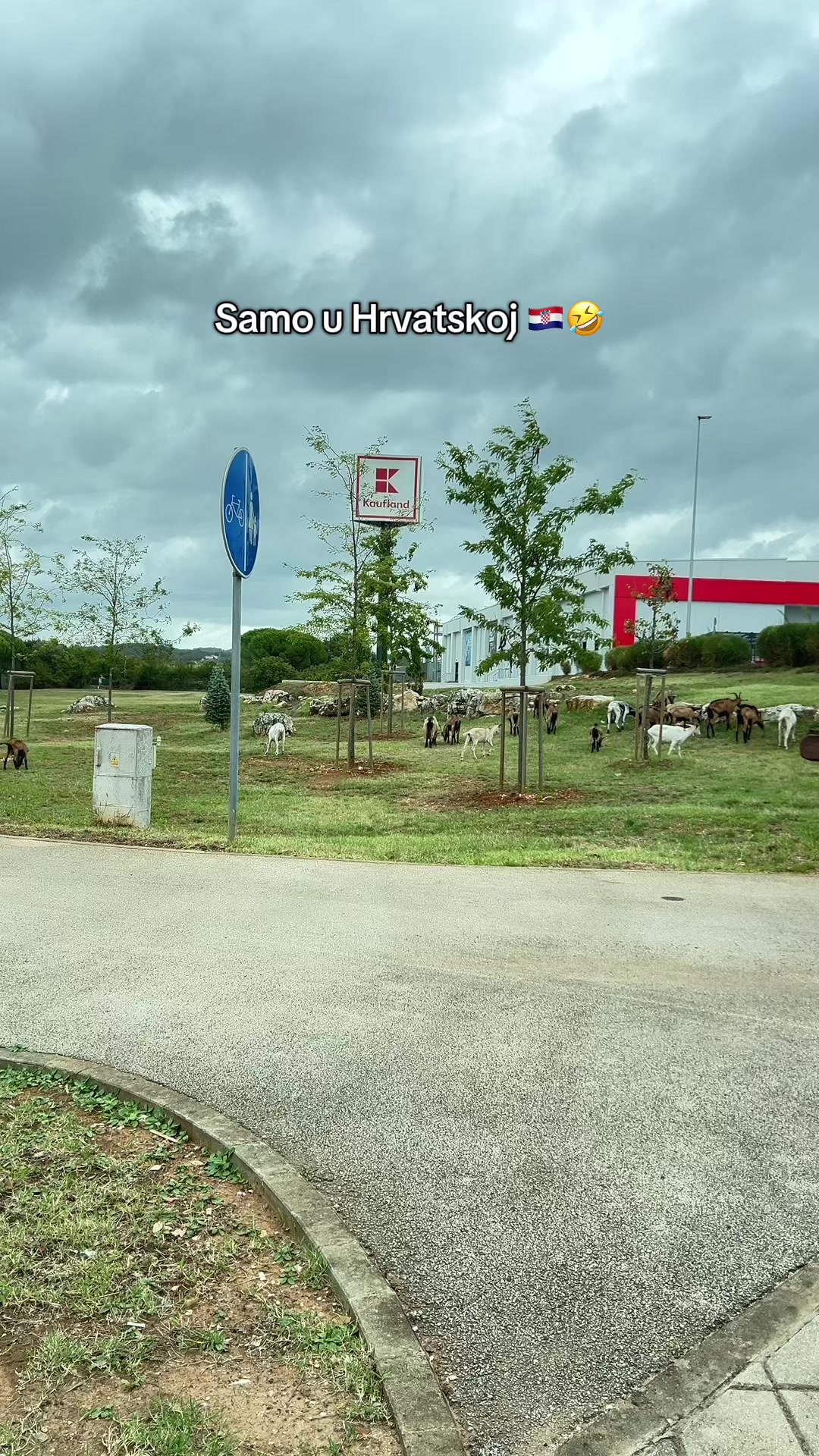 @Rebeccazhang🇭🇷🇨🇳