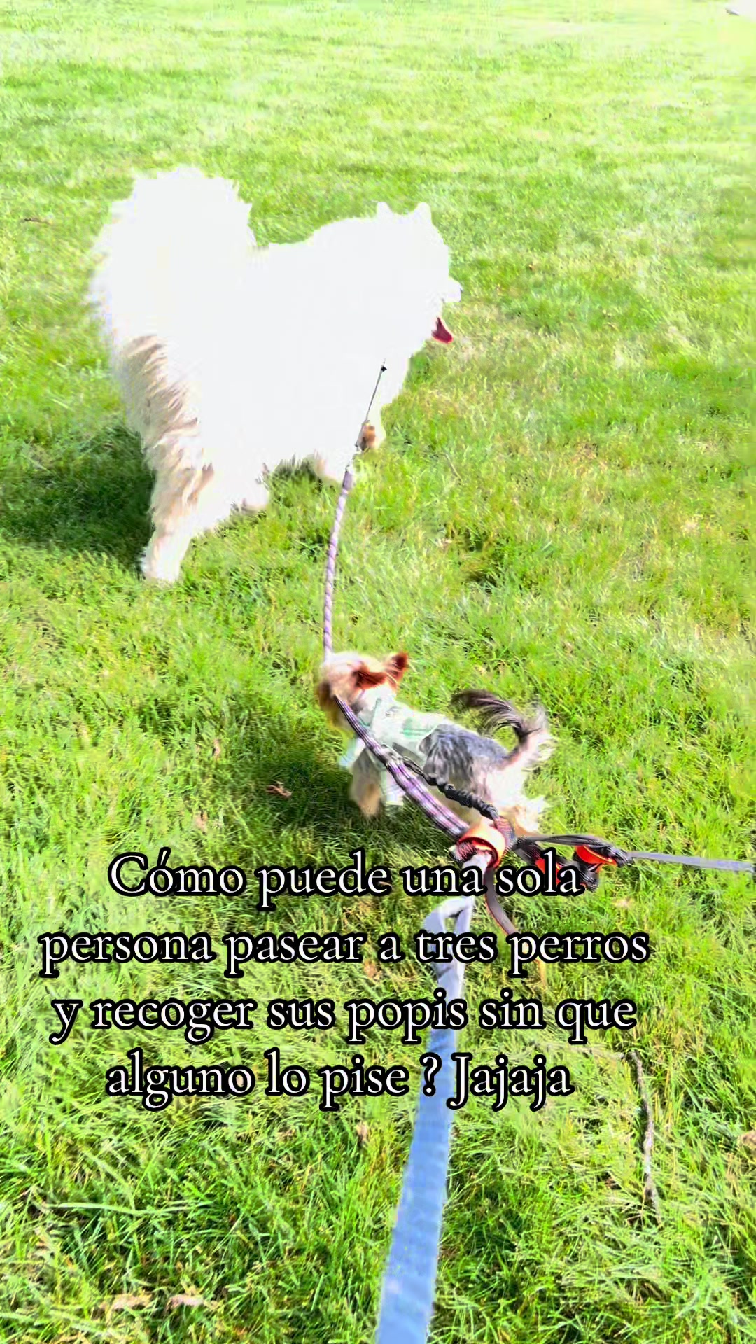 @𝒞𝒽&iacute;𝑜 𝐵𝓊𝒷𝓊𝓁𝓊𝒷𝓊𝑒𝓃𝒶