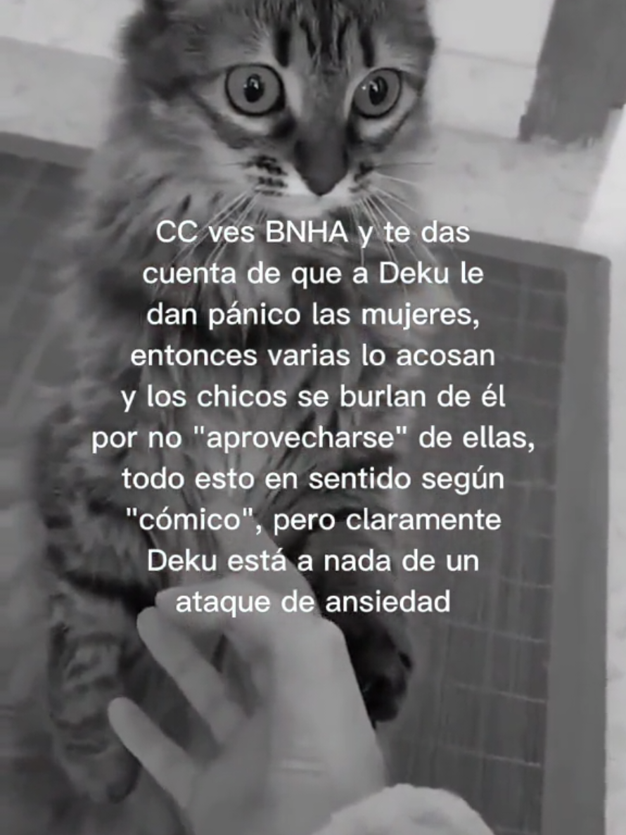 @Areli iero 🍭