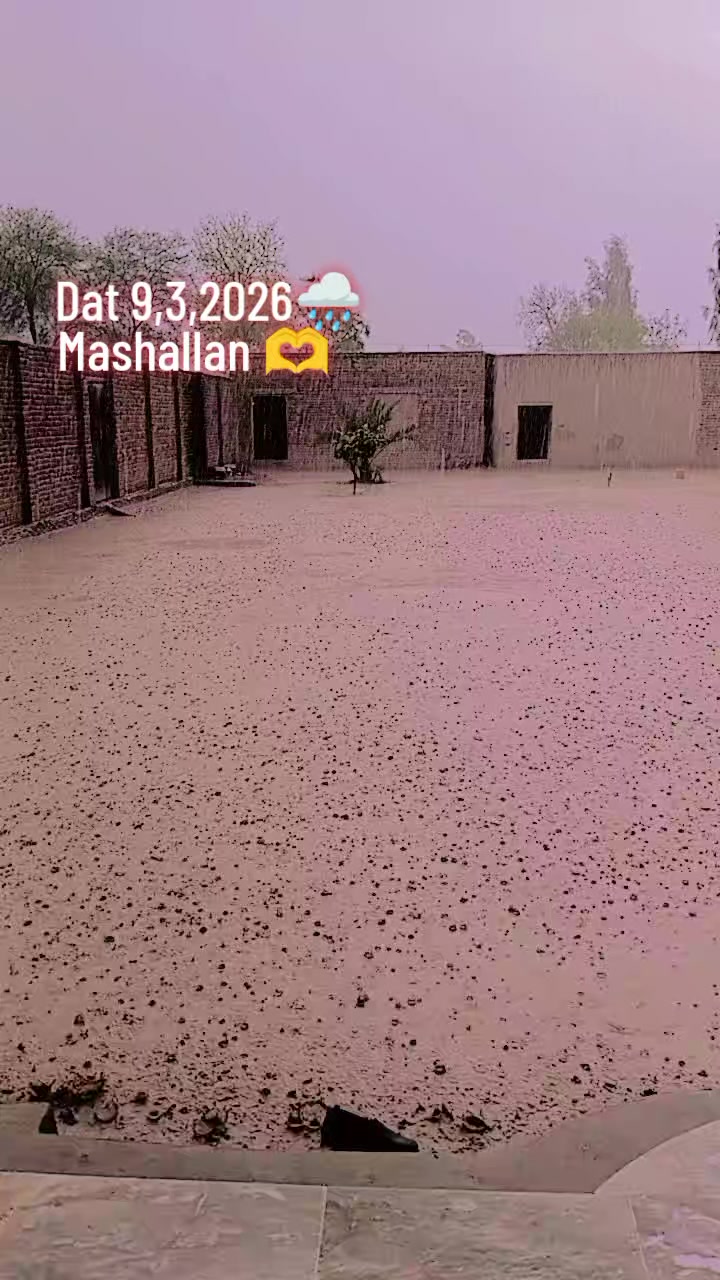 @{SHAHZIB}{KING}