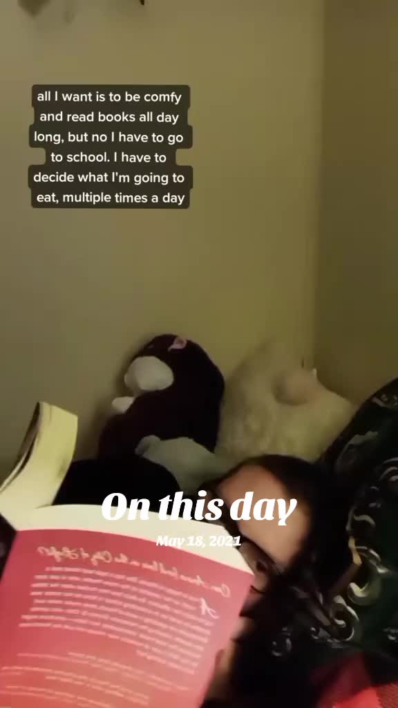 @Kimber 🌞🏛️🦉
