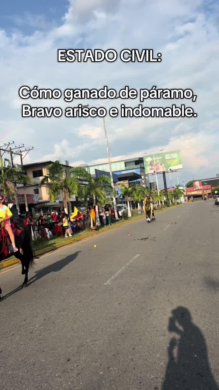 @✨SANTI