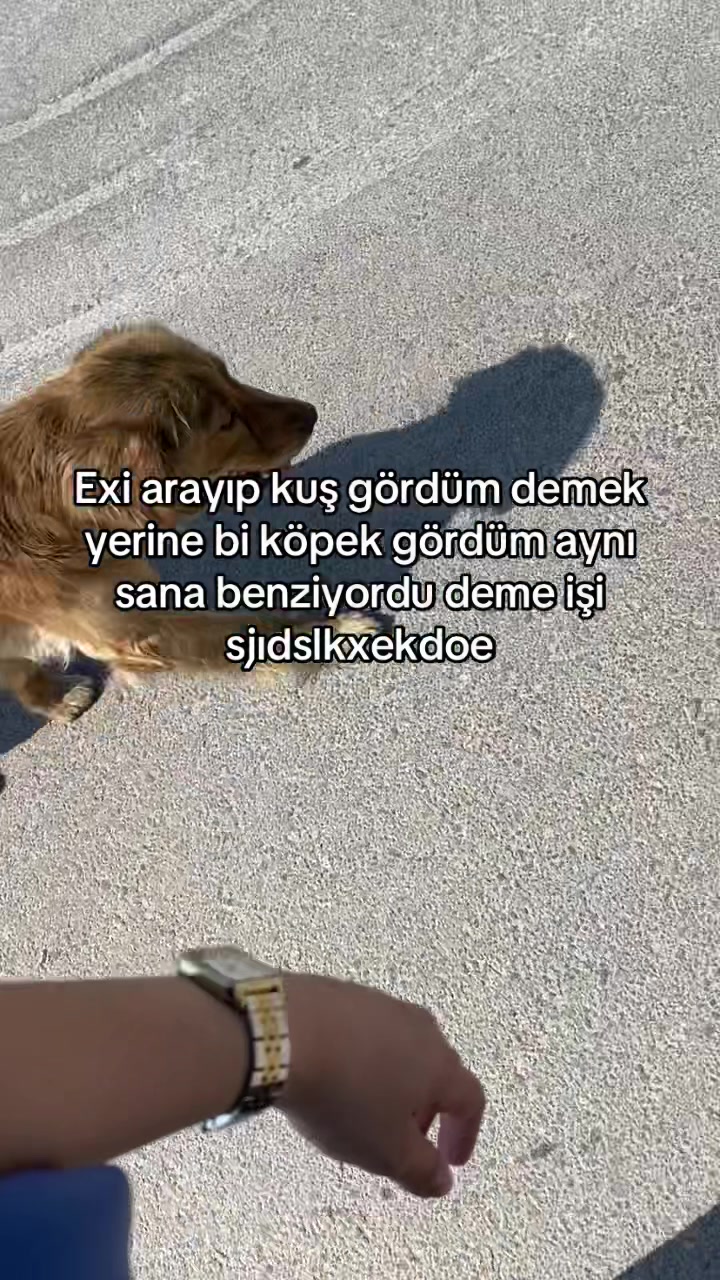 @trkankcygt