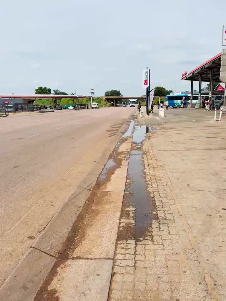 @SA to Africa Bus spotting