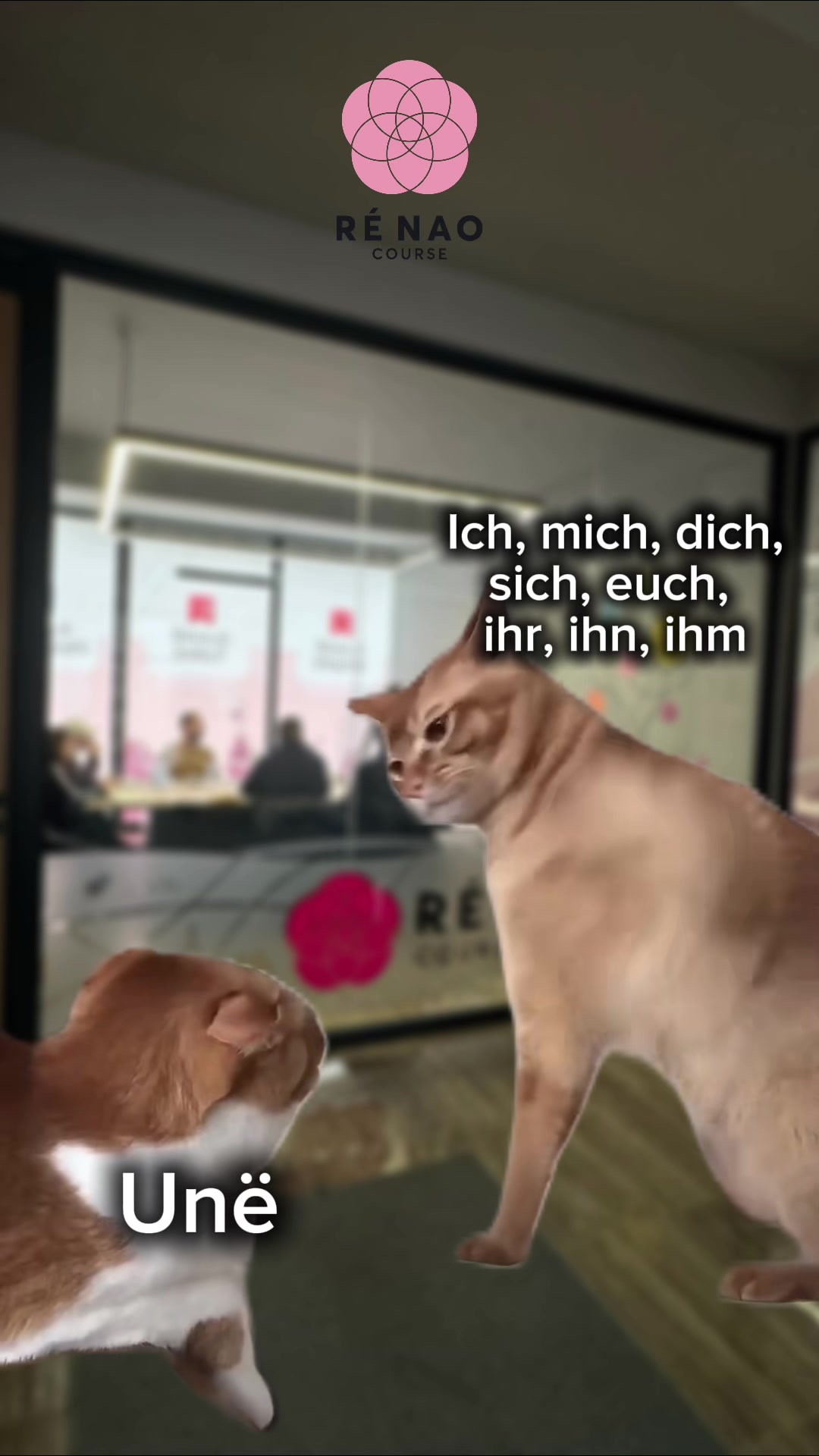 @Renaocourse