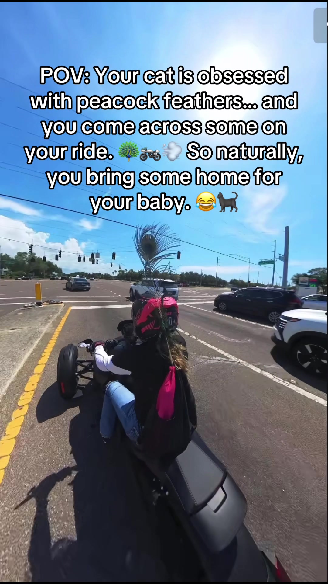 @Gyrl Fury