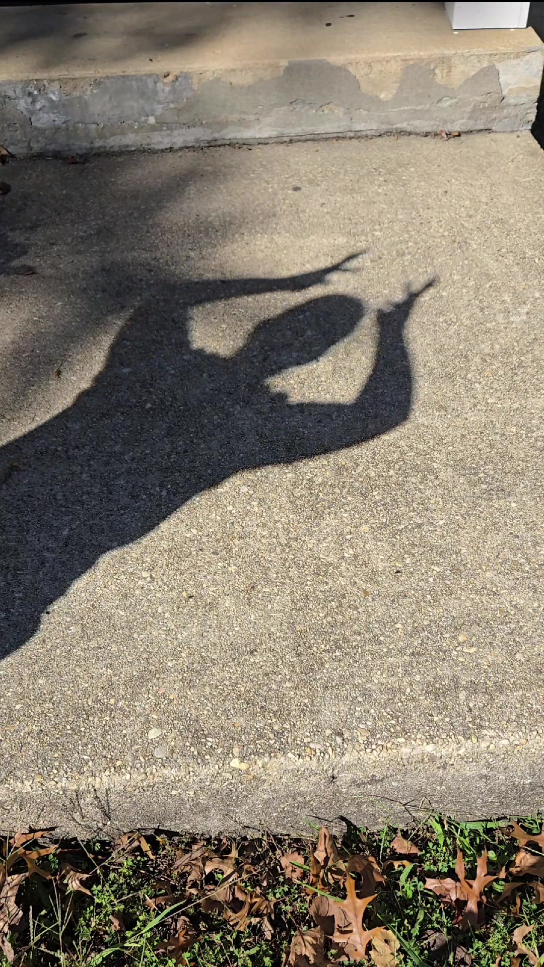 @dancewithkrishna