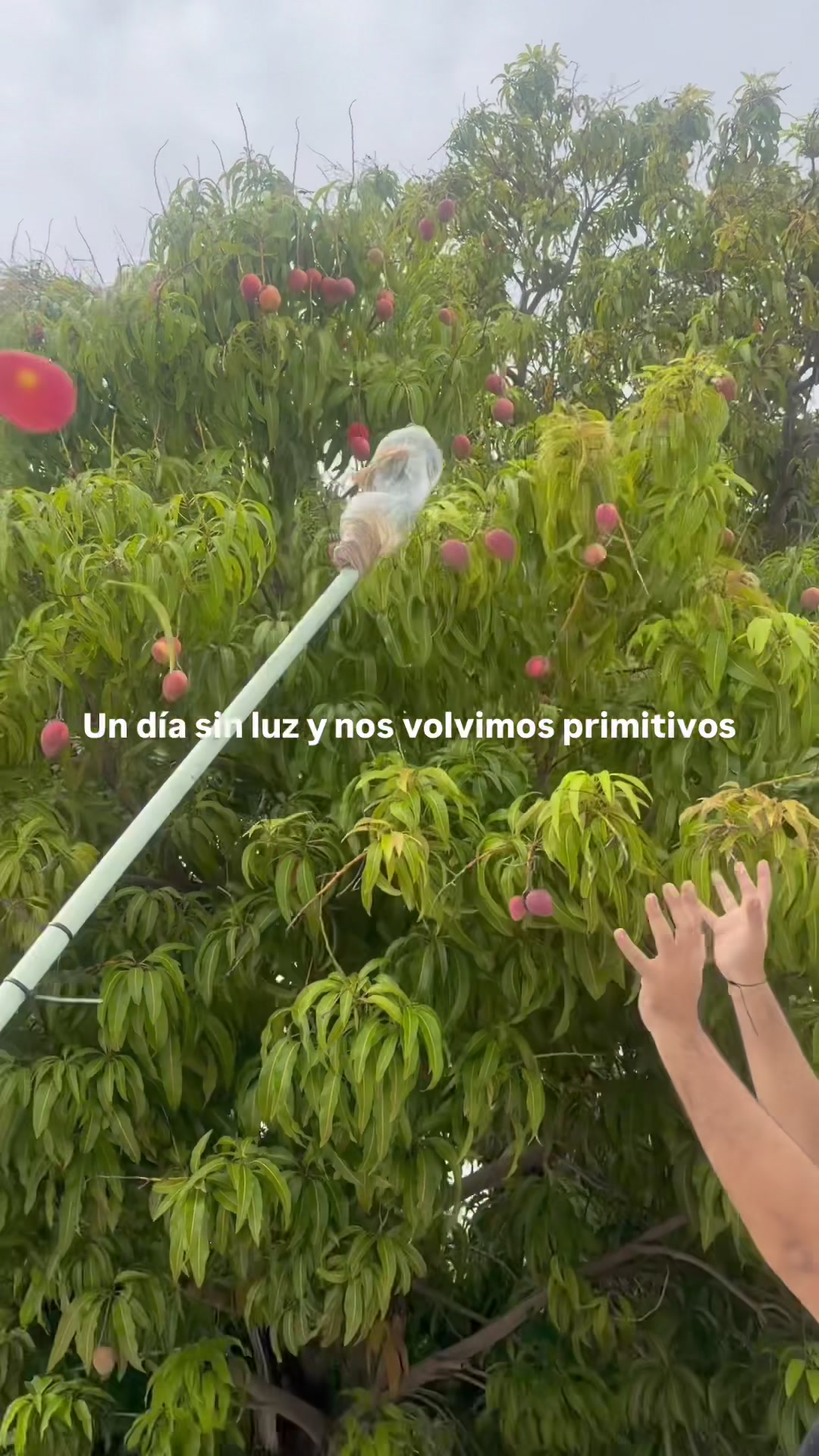 @Hemm