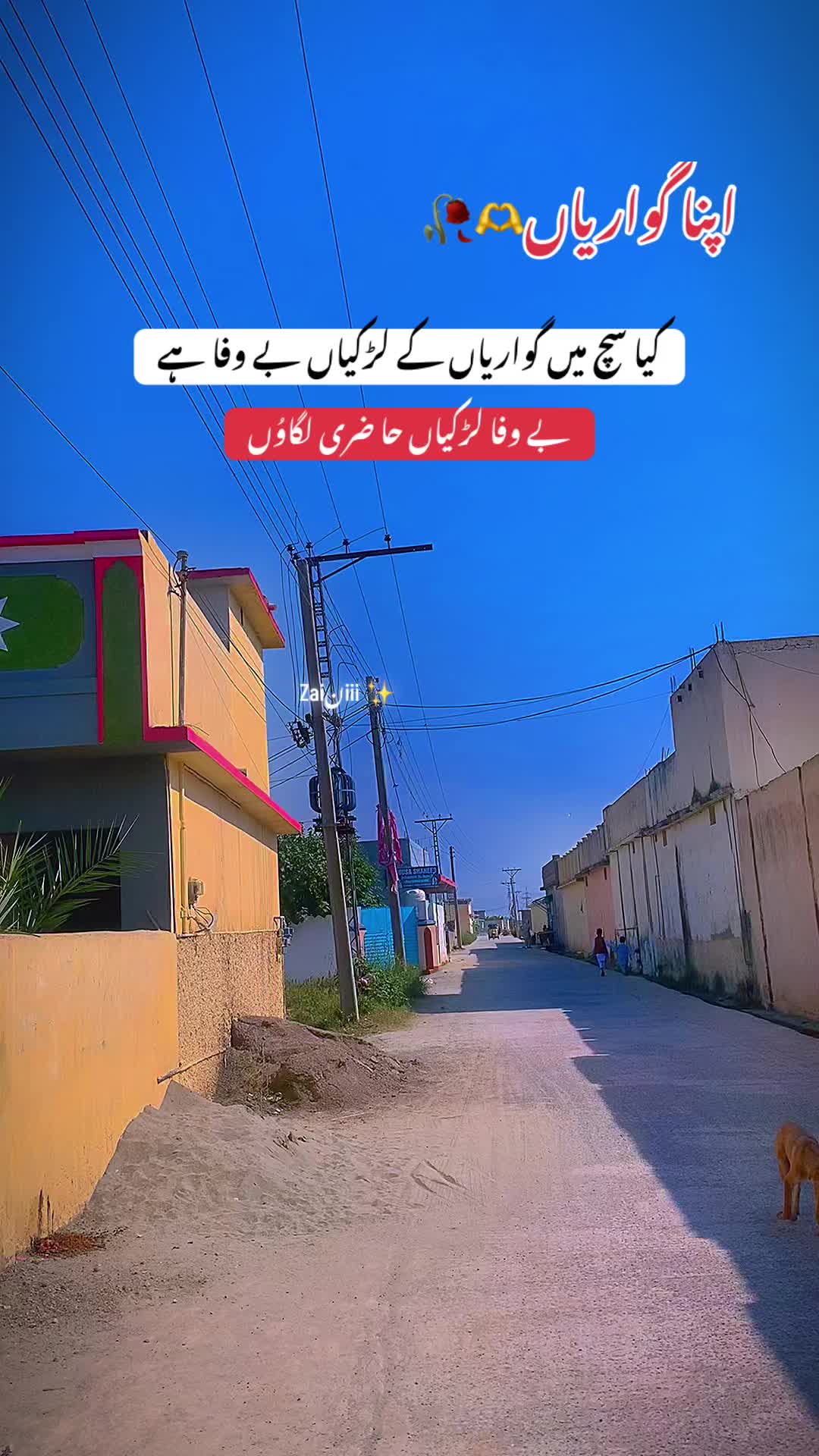 @جانی❣️z