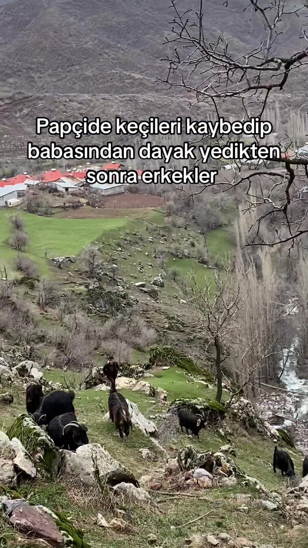 @Behcet Kaplan✪