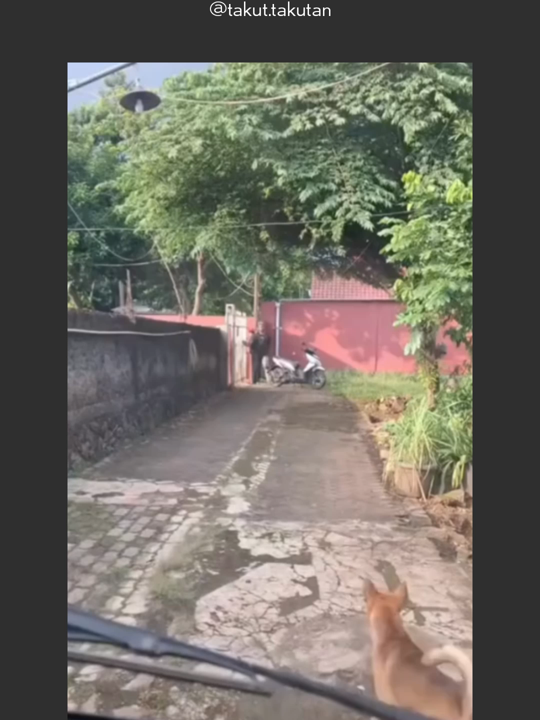 @takut.takutan
