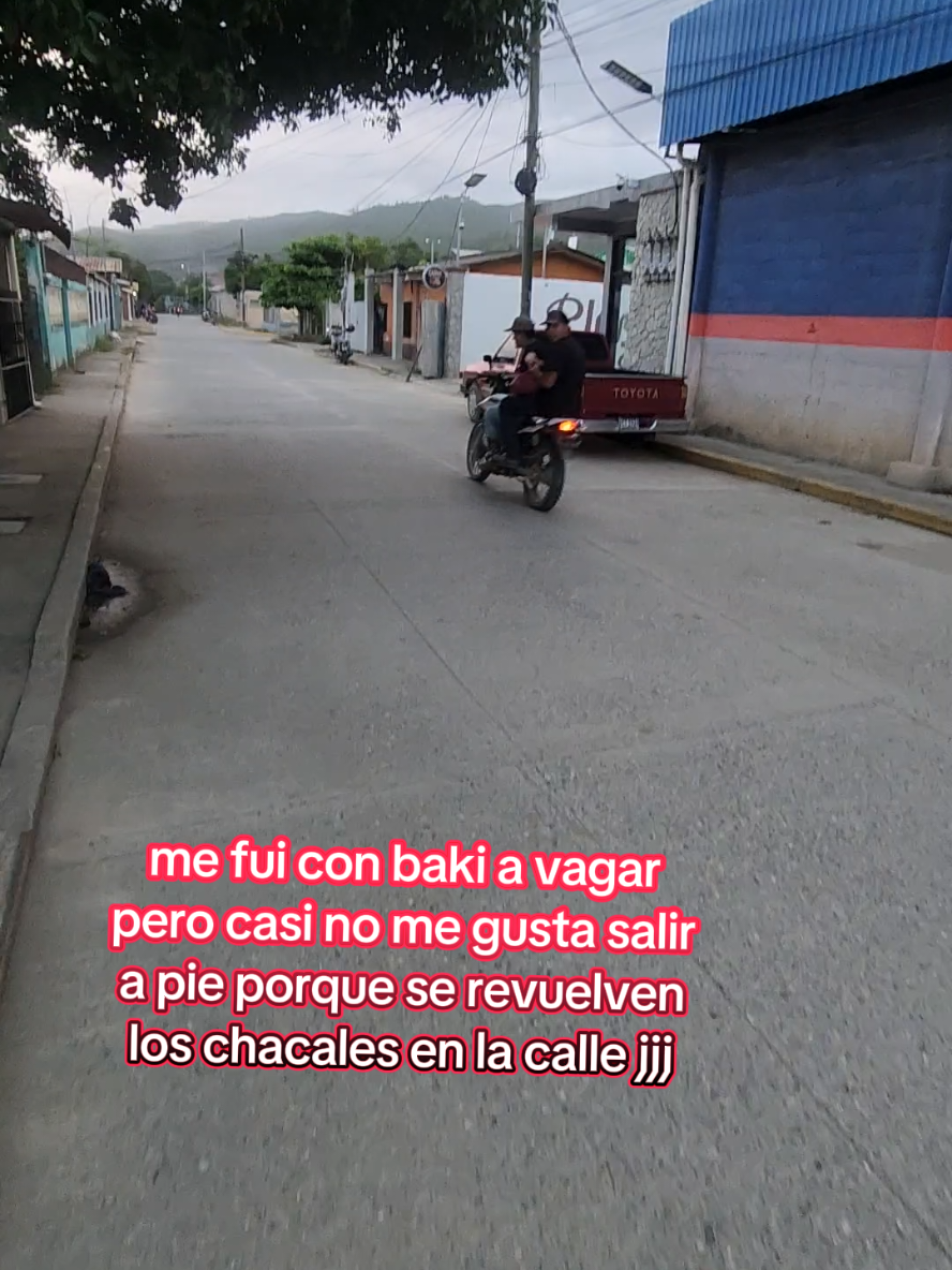 @Gaby axsume2