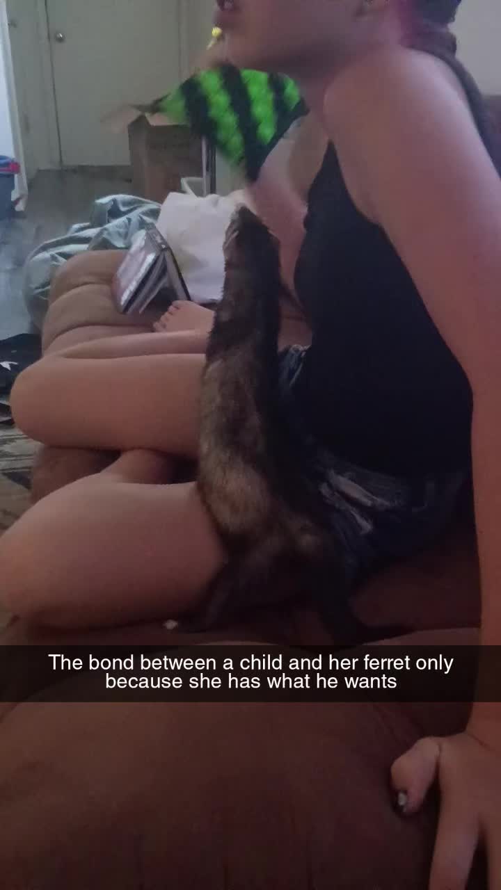 @tinyterror454