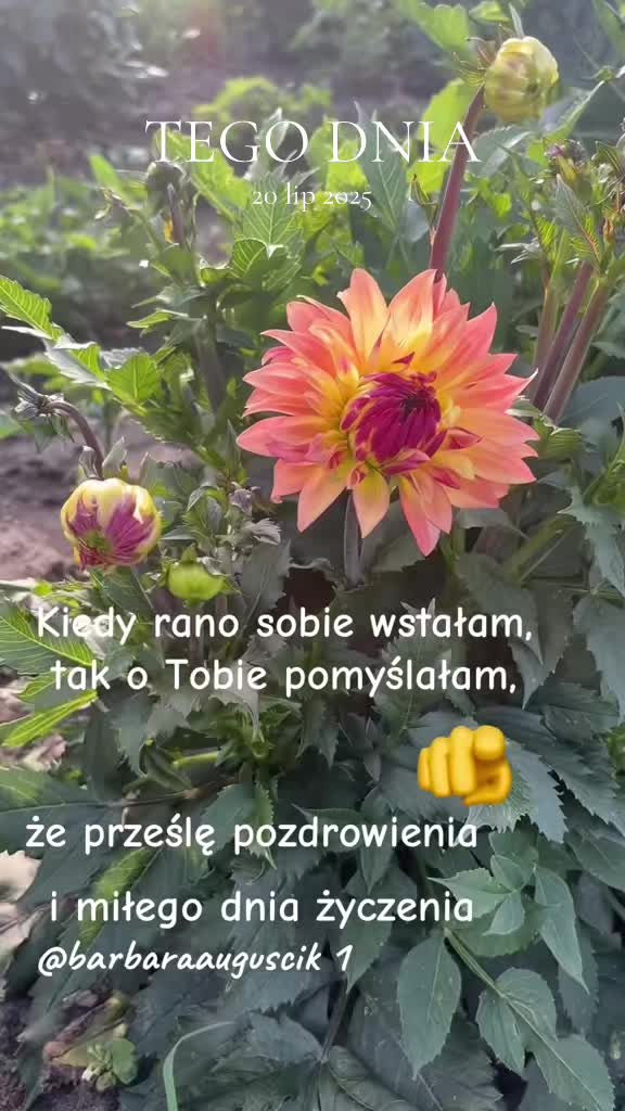 @barbaraauguscik1🇵🇱🇩🇪