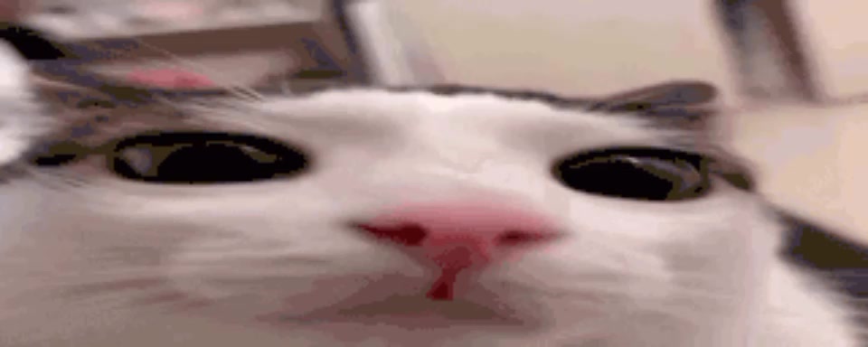 @˚. ࣪꒰🧁 ࣪ 𝙅𝒖𝒍𝒊𝒆 ˖꒷꒥꒷‧₊