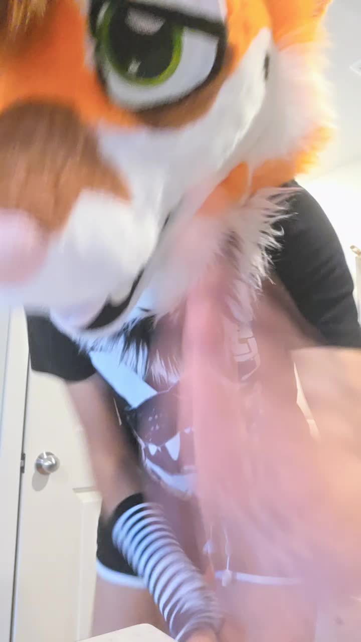 @mutt