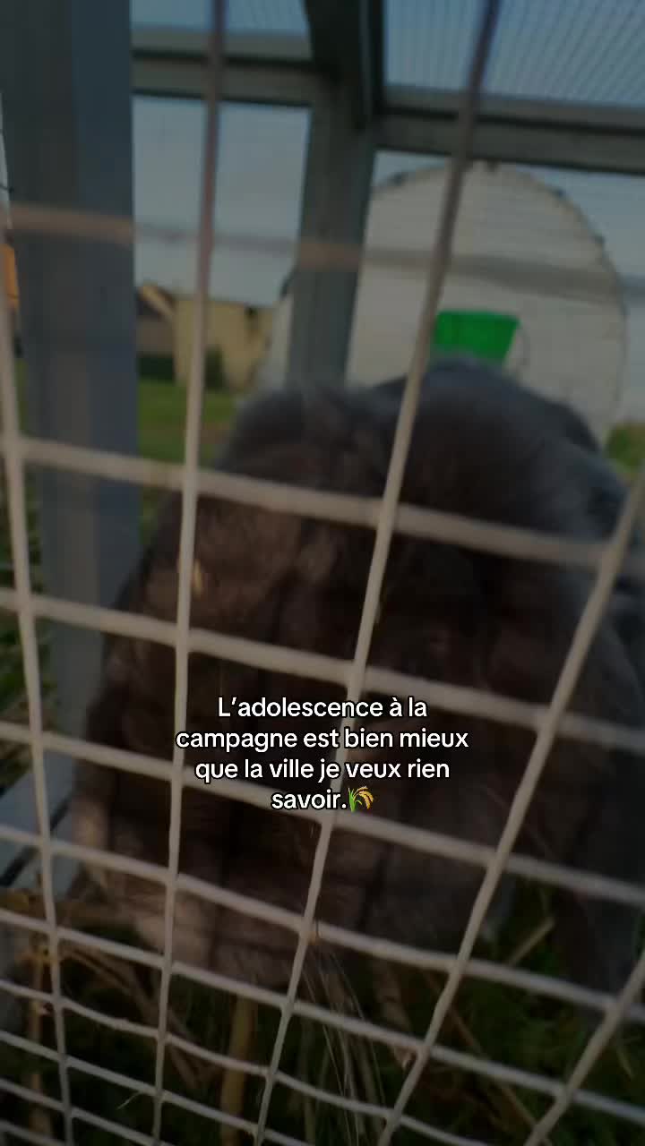@𝓐✞🤍🇪🇸