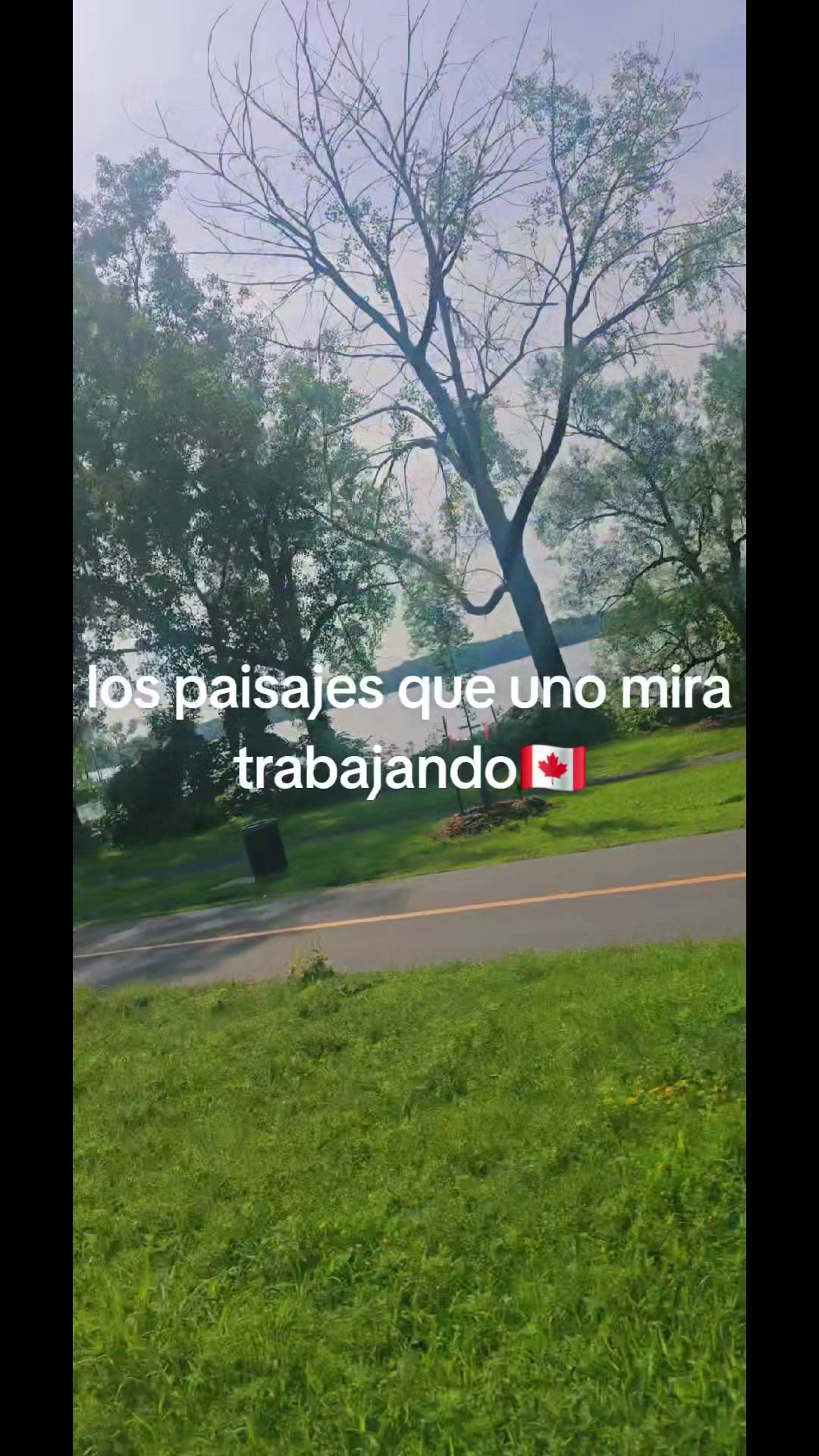 @🇨🇦🙂&zwj;&harr;️ Jose Lagunes