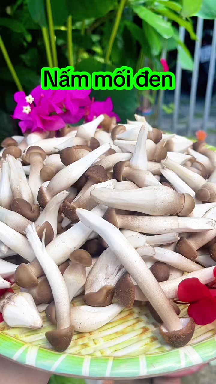 @nguyentuyet_79