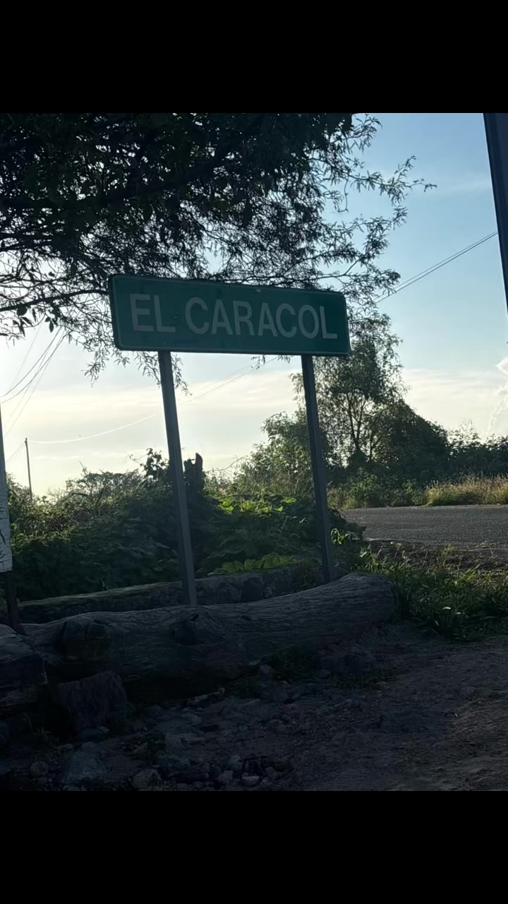 @Cachetitos 🫶
