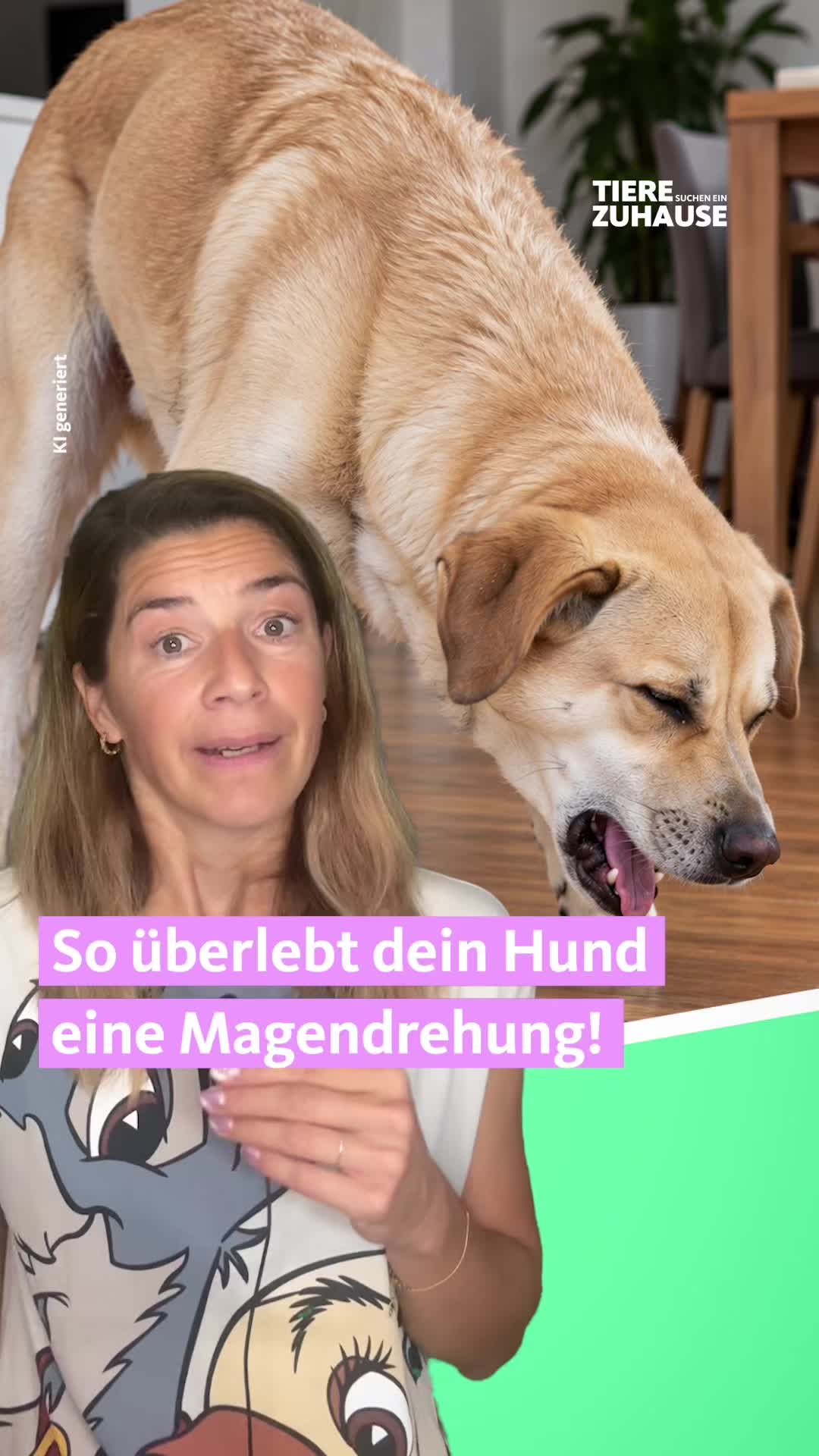 @Tiere suchen ein Zuhause