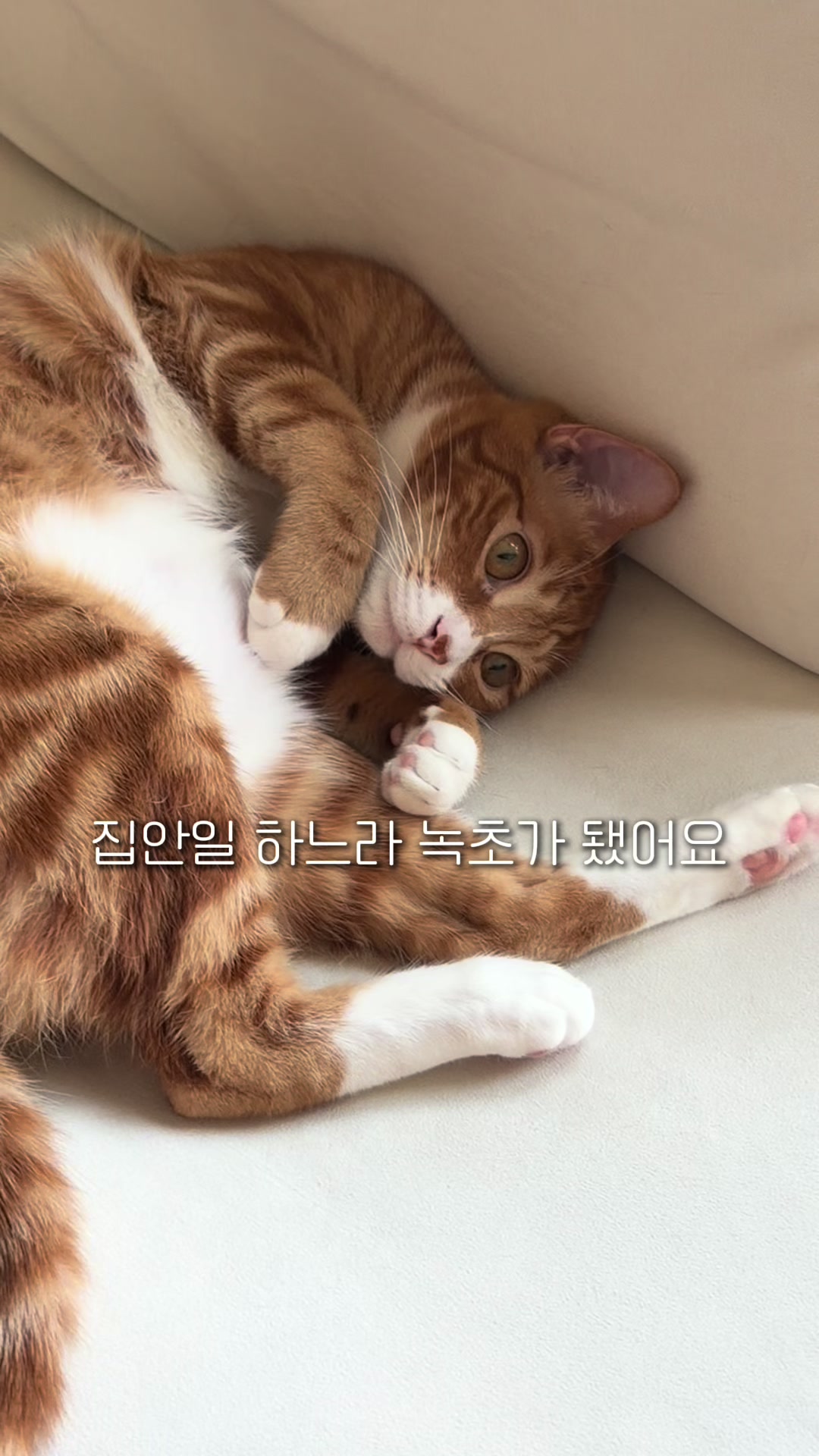 @뮤춘삼
