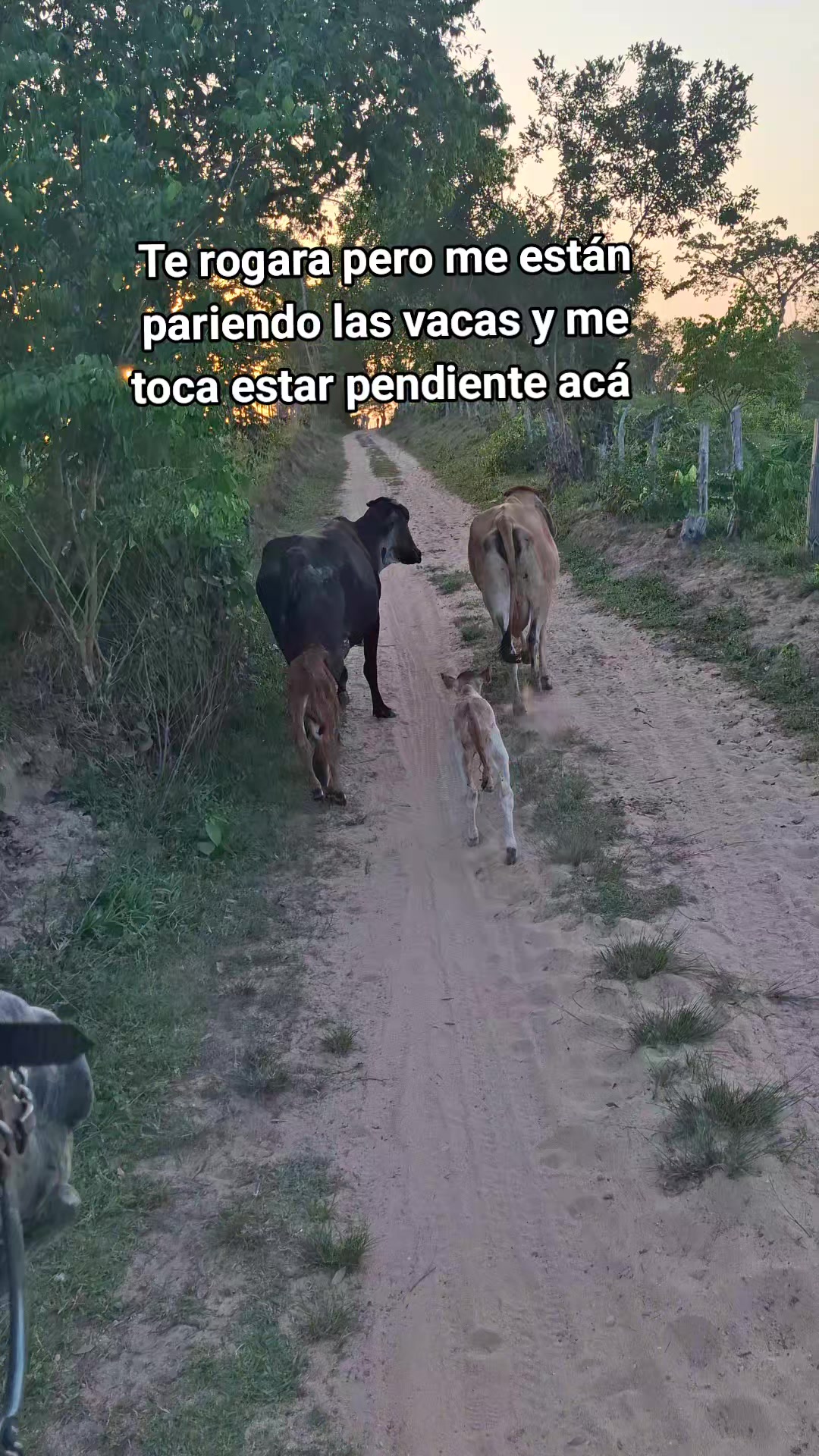 @Caldera 99