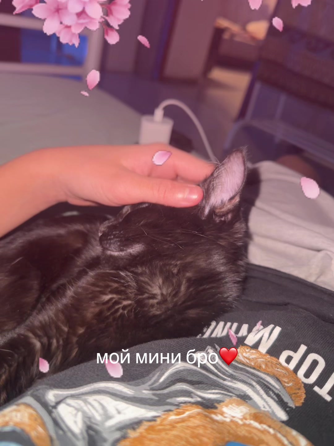 @yariik5