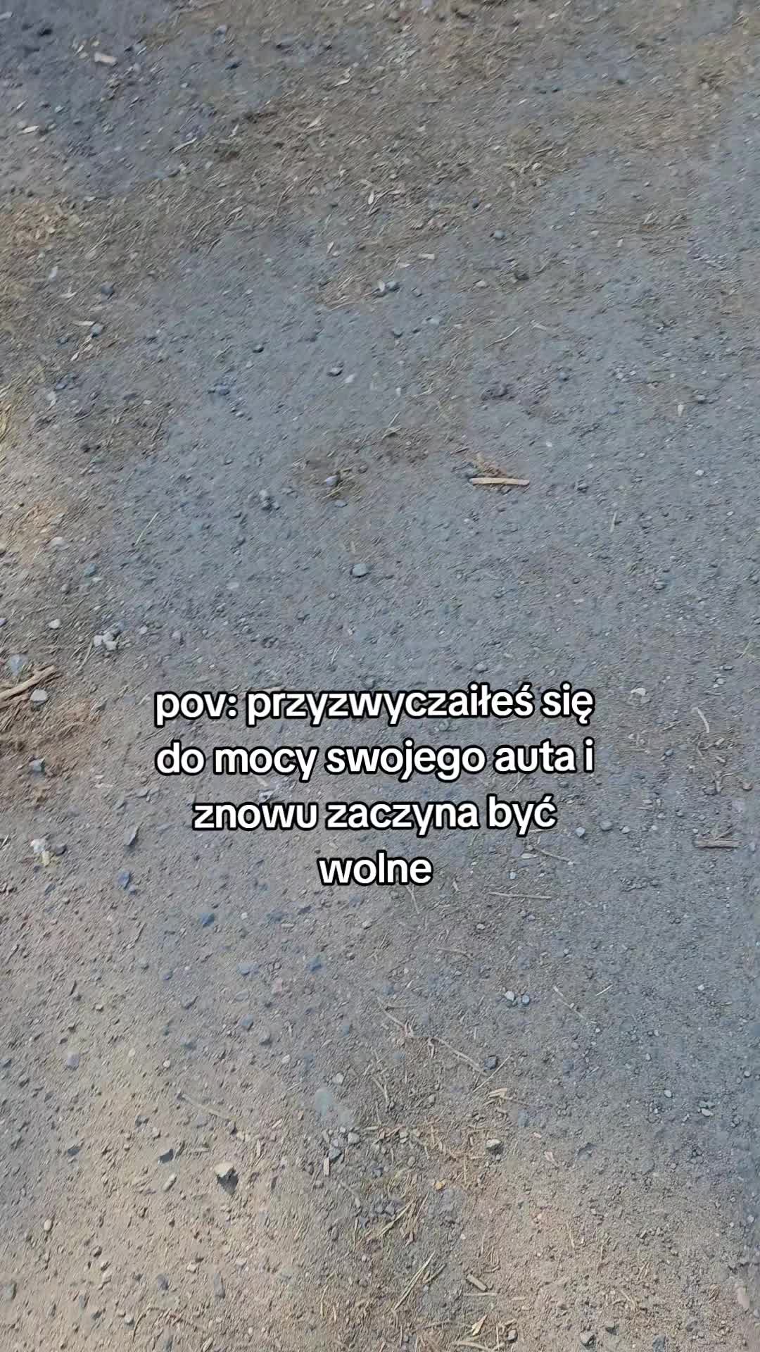 @Kacper
