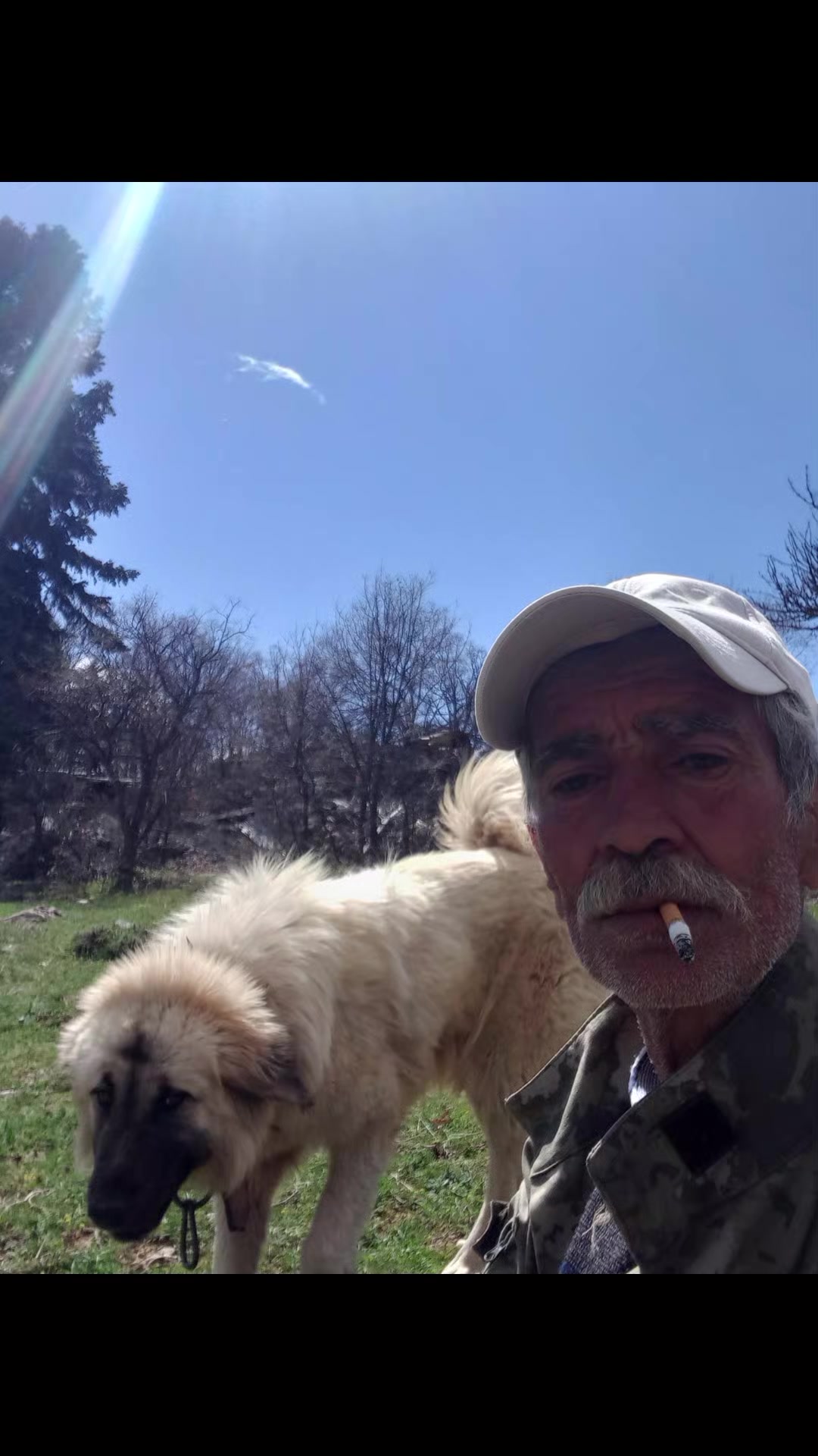 @Toroslarda Bir Çoban