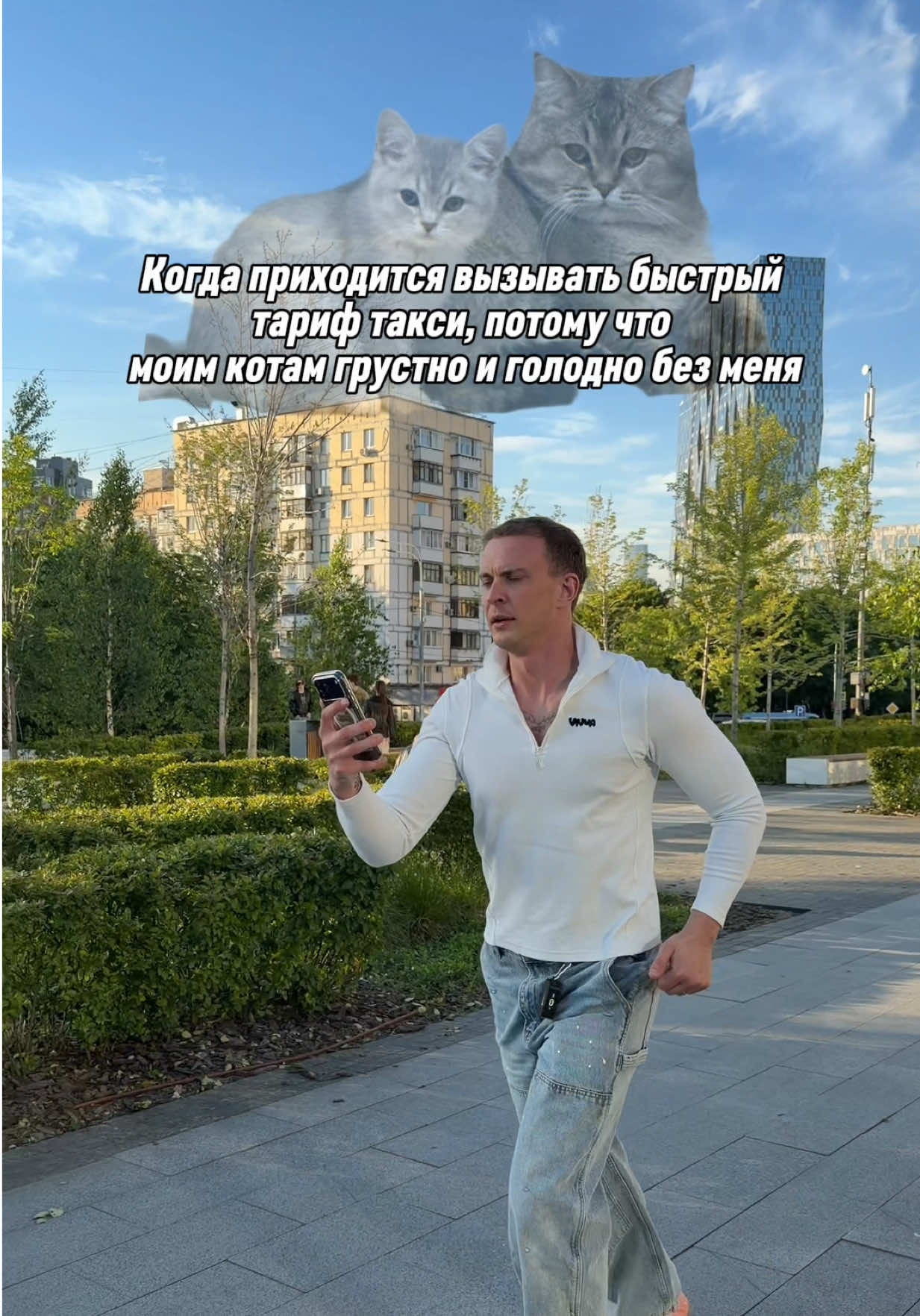 @котопапа
