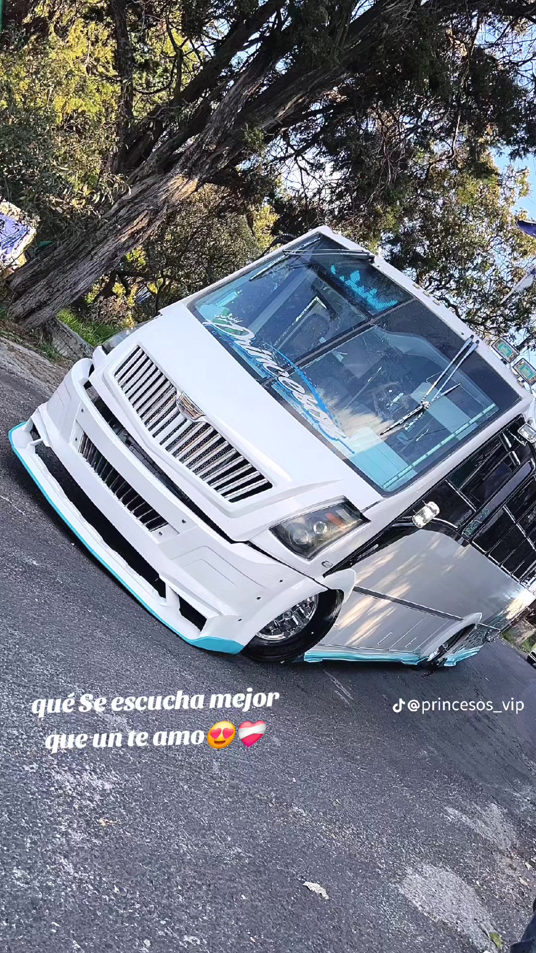 @Princeso's vip👑 #Buses tuning | 𝐴𝑌 𝐸𝑅𝐼𝐶𝐾__😍💘 ️ (@malonestuning)